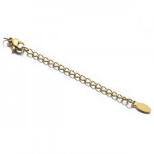 Stainless steel extension chain with lobster clasp and oval label Gold